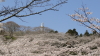 img0011.jpg