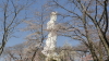 img0031.jpg