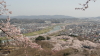 img0039.jpg