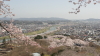 img0040.jpg