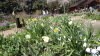 img0051.jpg