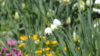 img0055.jpg