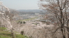 img0059.jpg