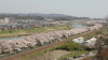 img0075.jpg