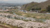 img0077.jpg
