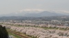 img0078.jpg
