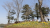 img0079.jpg