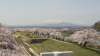 img0086.jpg