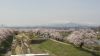 img0087.jpg