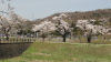 img0089.jpg