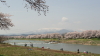 img0099.jpg