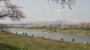 img0100.jpg