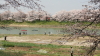 img0104.jpg