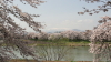 img0108.jpg
