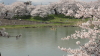 img0109.jpg