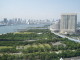 img0019.jpg