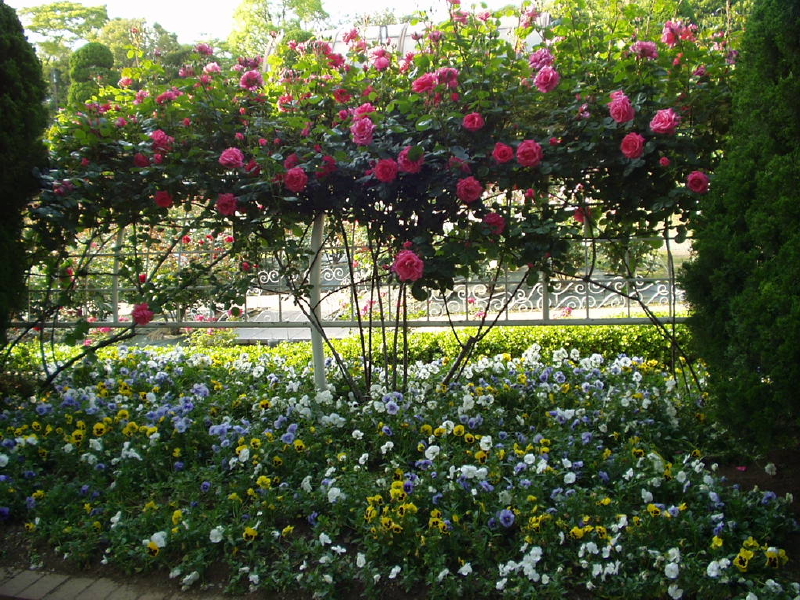 img0012.jpg