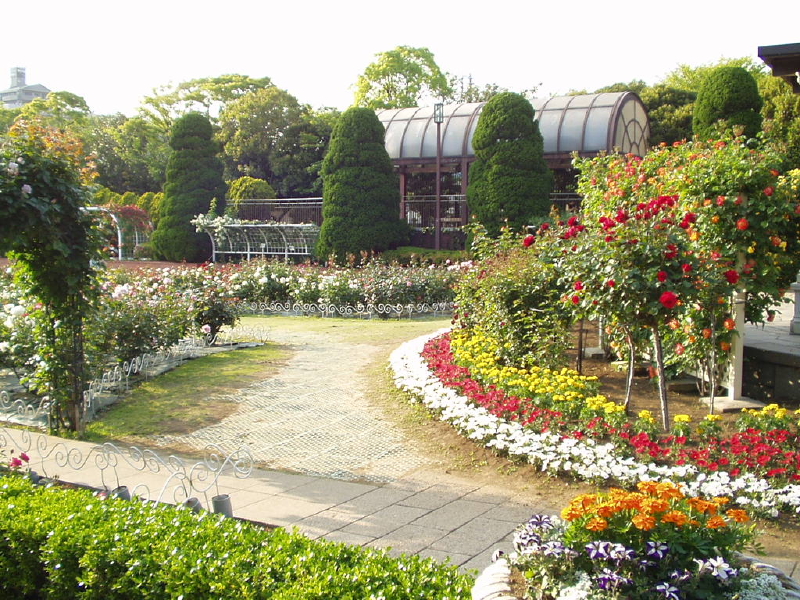 img0013.jpg