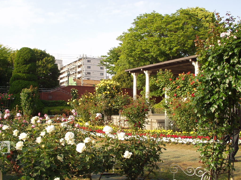 img0014.jpg
