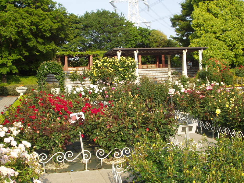 img0016.jpg
