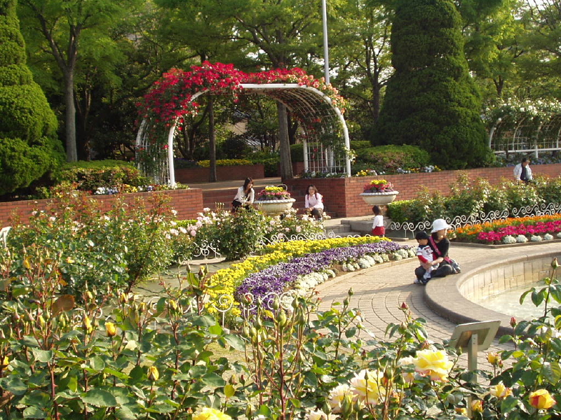 img0017.jpg