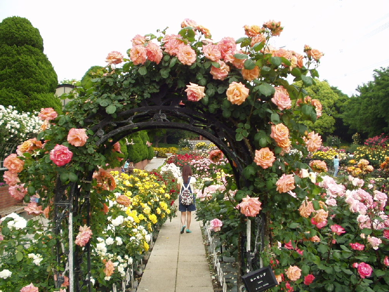 img0018.jpg