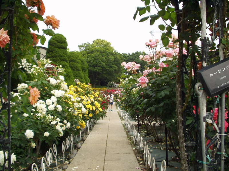 img0019.jpg
