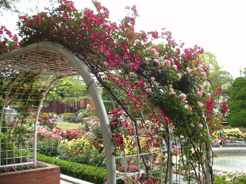 img0021.jpg