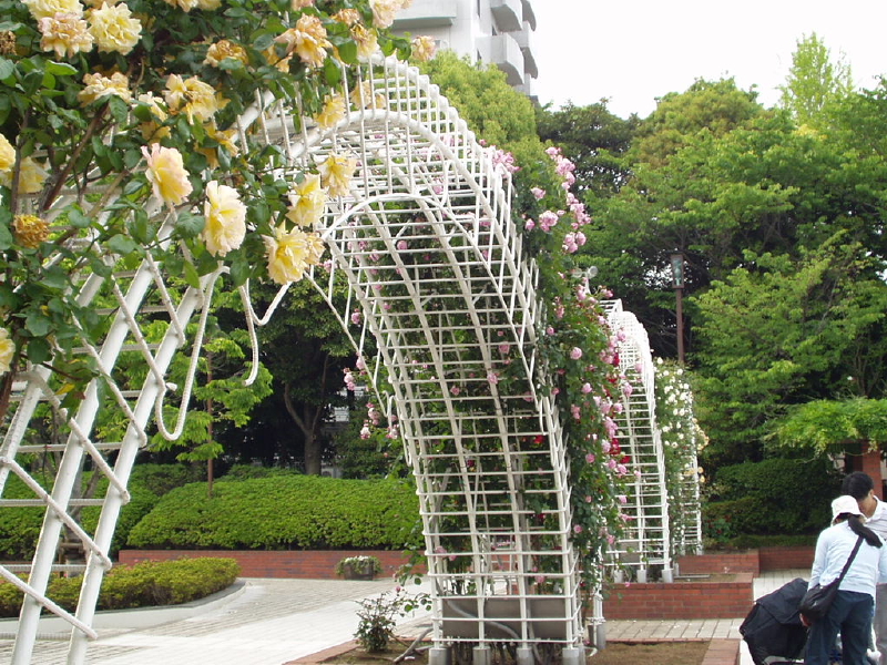 img0022.jpg
