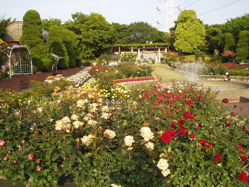 img0025.jpg