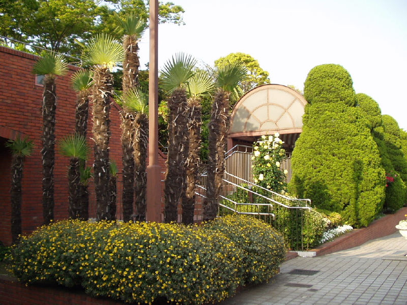 img0026.jpg