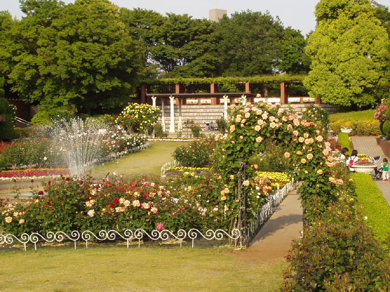 img0027.jpg