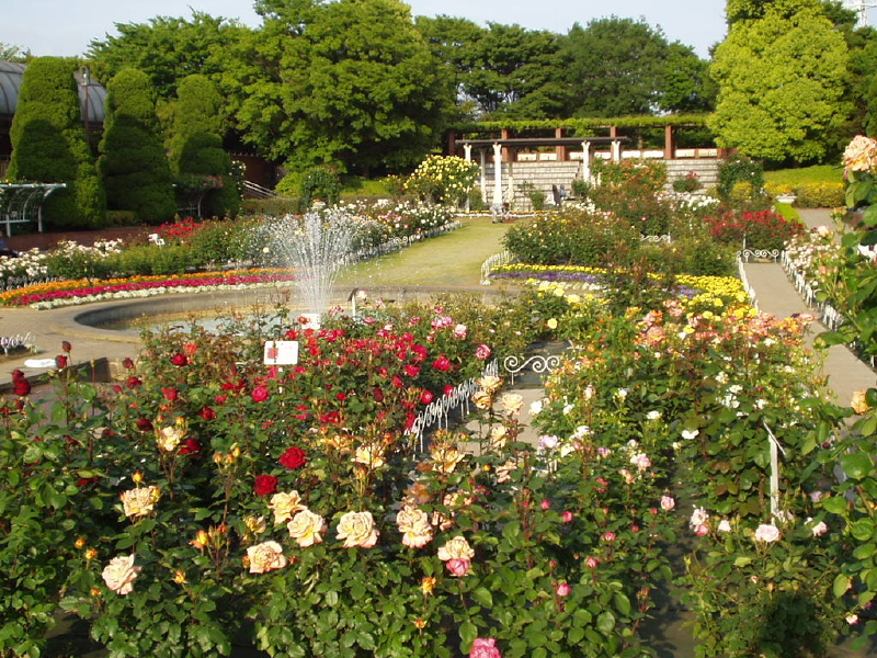 img0028.jpg