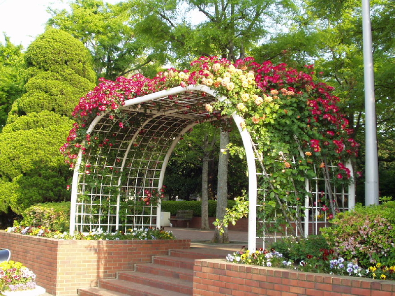 img0029.jpg