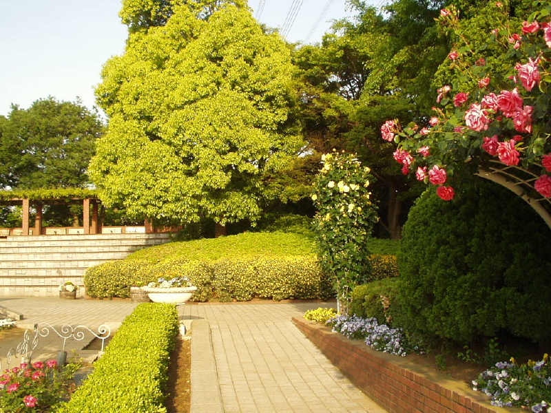 img0031.jpg