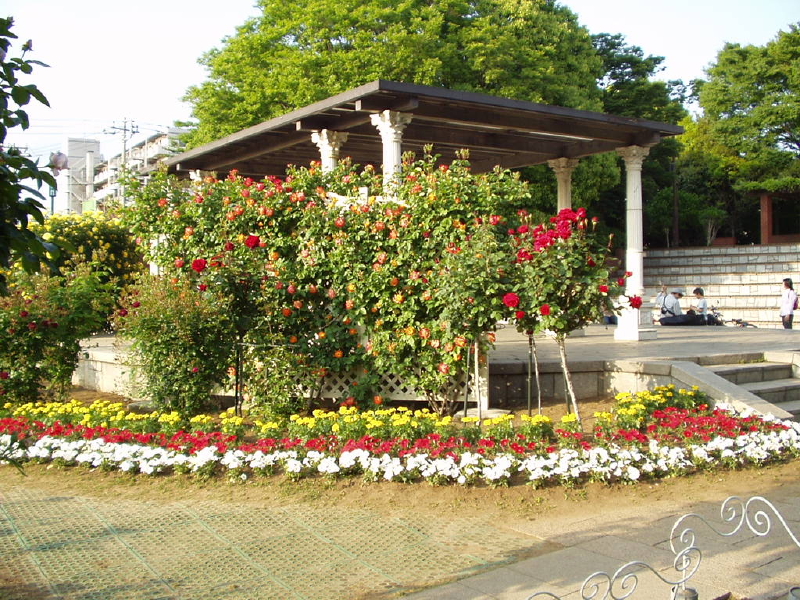 img0032.jpg