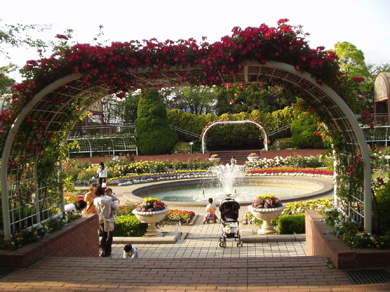 img0034.jpg