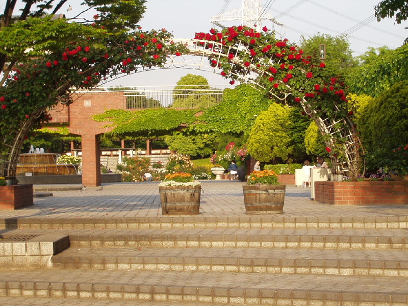 img0037.jpg