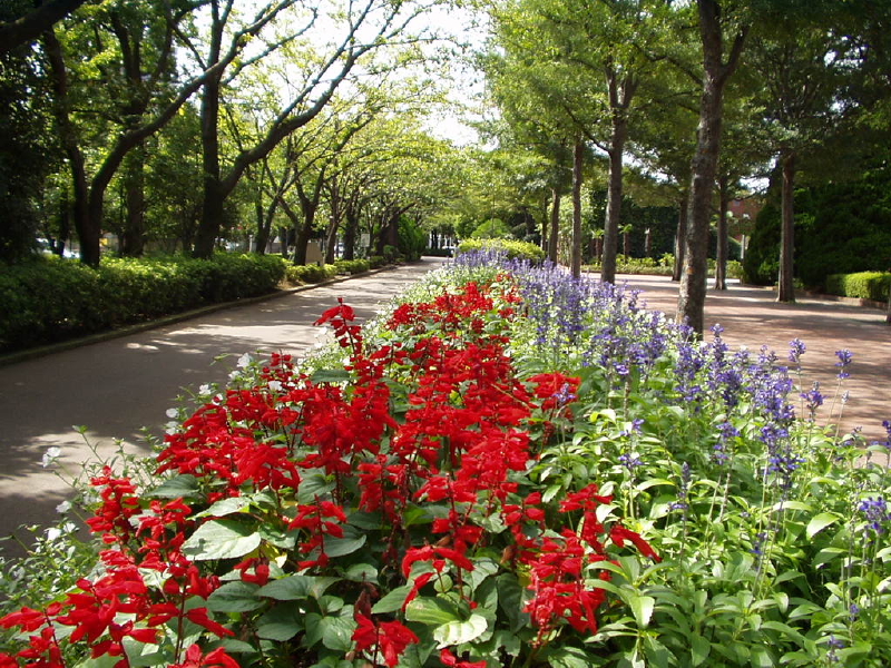 img0040.jpg