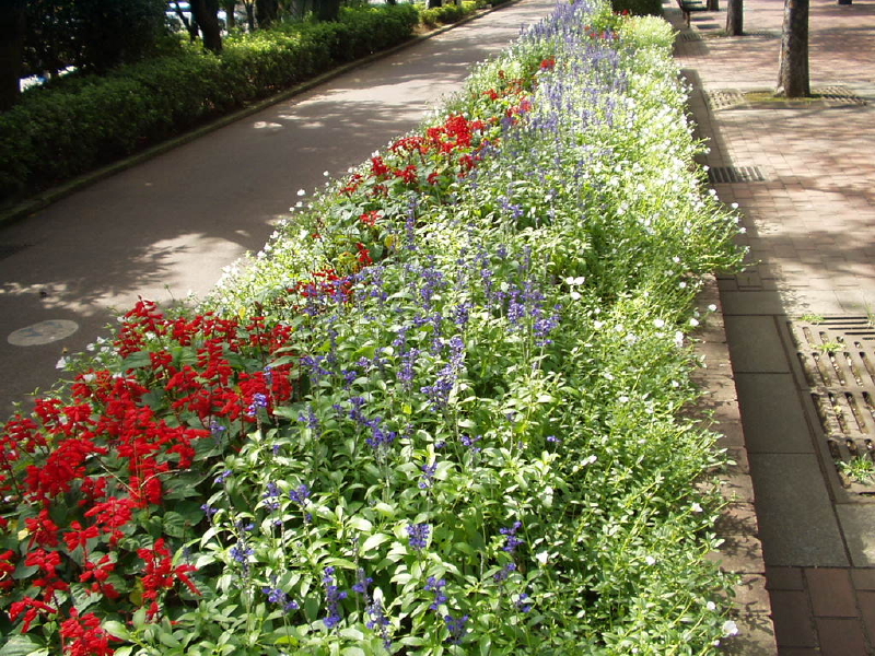 img0041.jpg