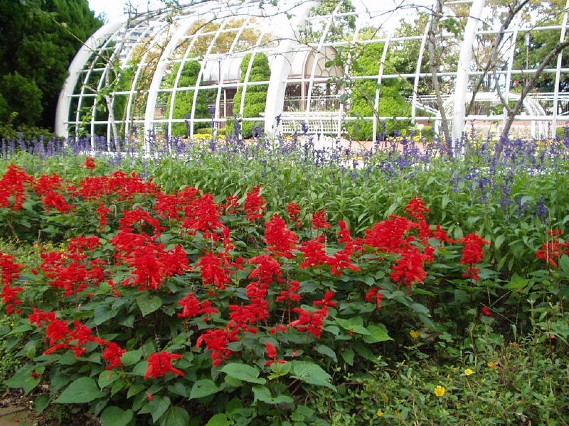 img0042.jpg