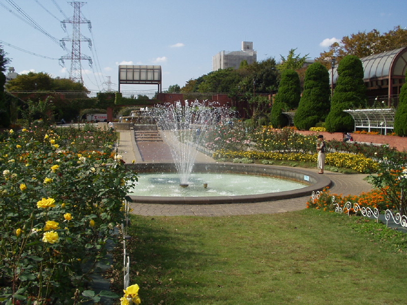 img0046.jpg