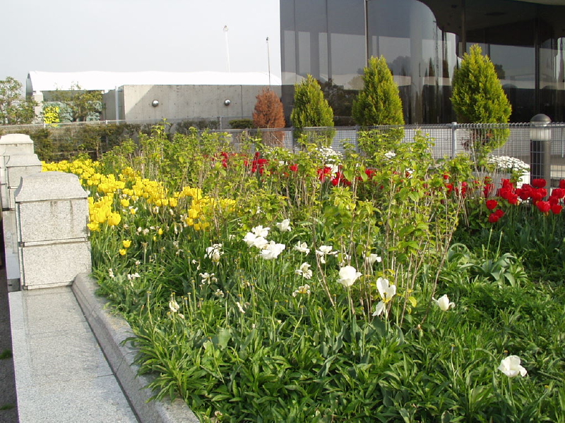 img0053.jpg