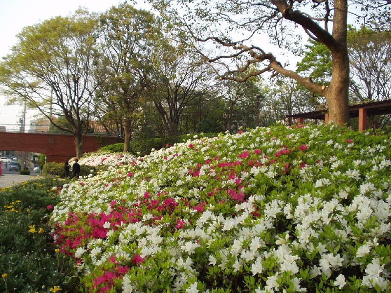 img0055.jpg