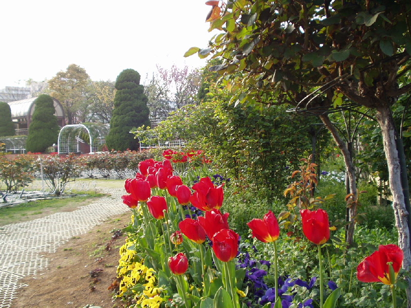 img0056.jpg
