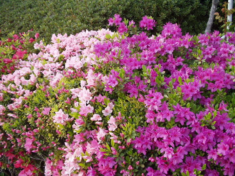 img0058.jpg