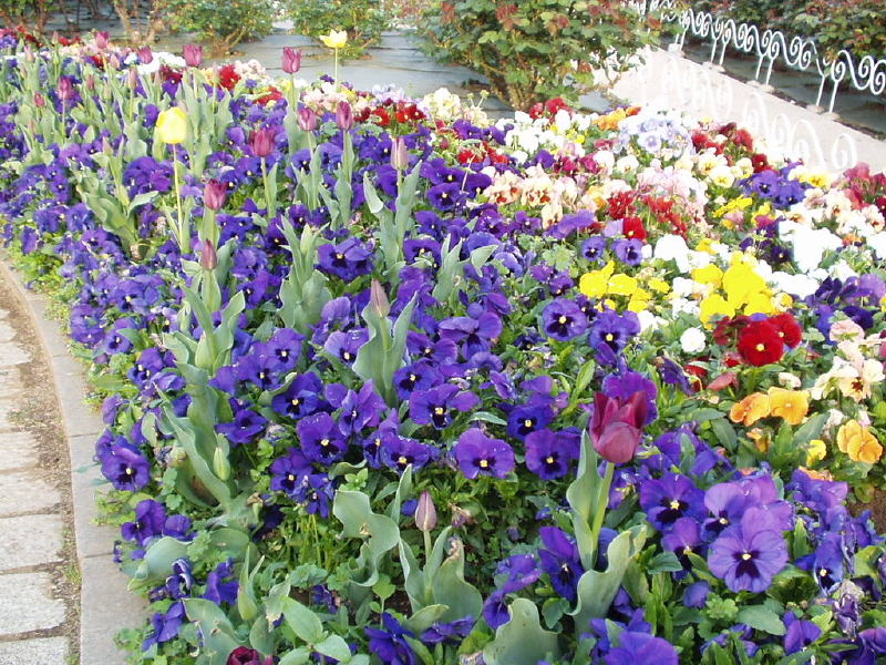 img0062.jpg