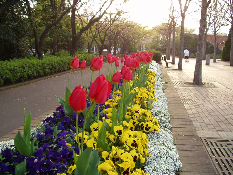 img0063.jpg