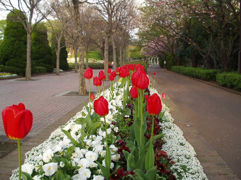 img0064.jpg