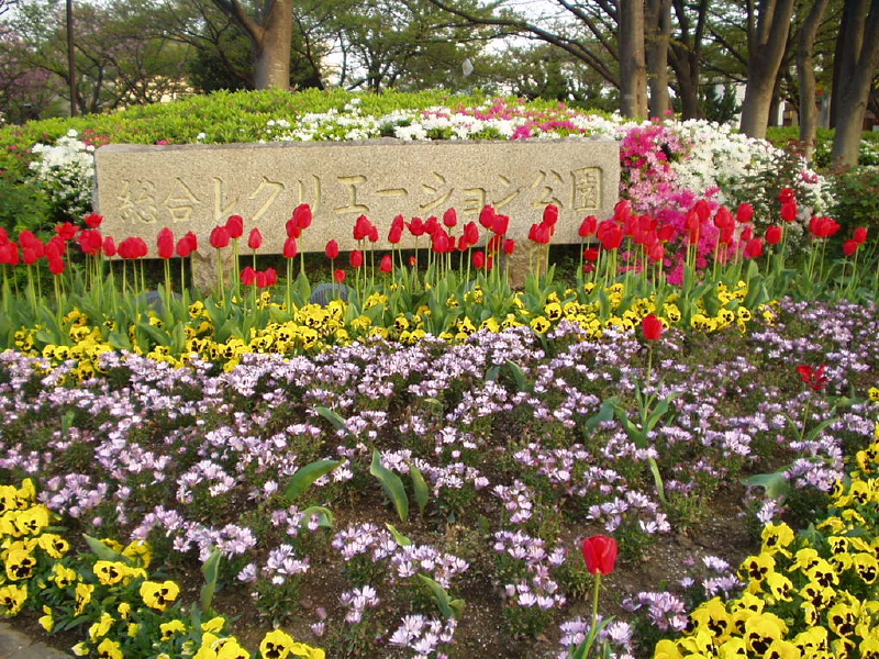 img0067.jpg